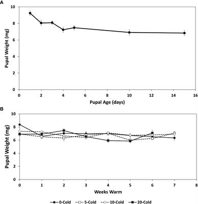 Metabolic reserves of diapausing western cherry fruit fly (Diptera: Tephritidae) pupae in relation to chill duration and post-chill rearing conditions